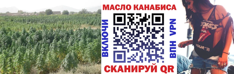 Купить закладки  Полярные Зори  ТГК THC oil 